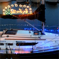 �J�f���[�T�X