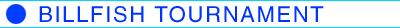 �t�[�h�R�[�g
