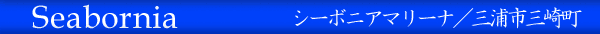 �O�Y�s�O�蒬�^�V�[�{�j�A�}���[�i