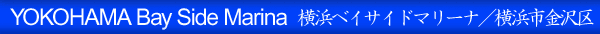 ���l�x�C�T�C�h�}���[�i
